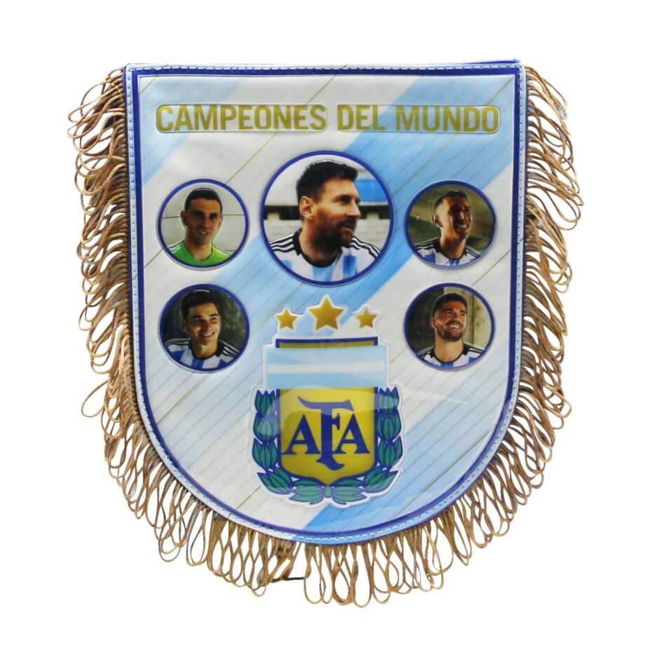 Mochila AFA campeones de espalda con banderin 16"